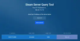 how to use the steam query tool